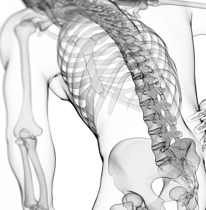 OFZ Wirbelsäule Rücken
